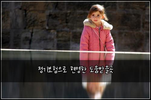 정기보험으로 현명한 도움받을곳