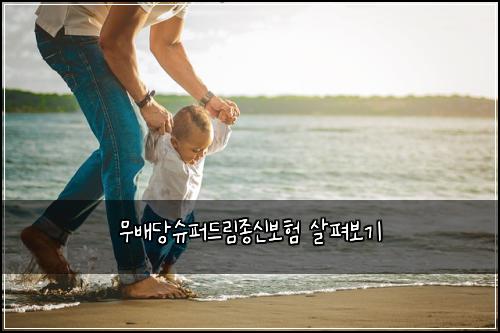 무배당슈퍼드림종신보험 살펴보기