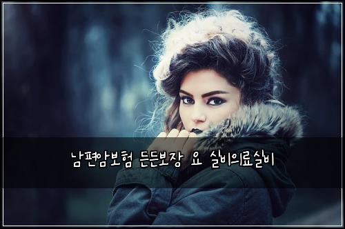 남편암보험 든든보장  요 실비의료실비
