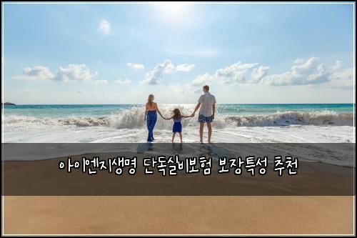 아이엔지생명 단독실비보험 보장특성  추천