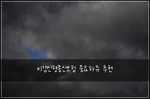 비갱신형종신보험 중요하쥬  추천