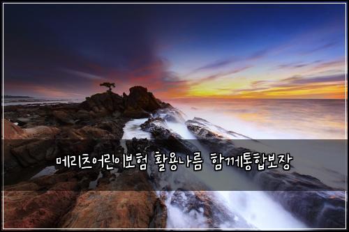 메리츠어린이보험 활용나름  함께통합보장