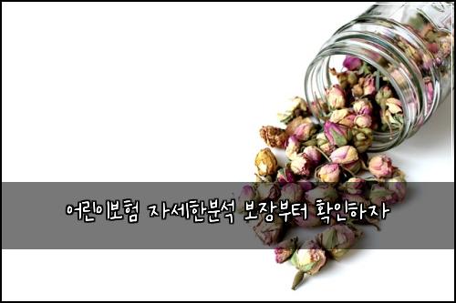 어린이보험 자세한분석  보장부터 확인하자