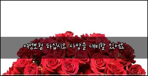 ์ฌ์ฑ๋ณดํ ํ์ญ์์ค ์ฌ๋ง์ ๋๋นํ ์์ด์