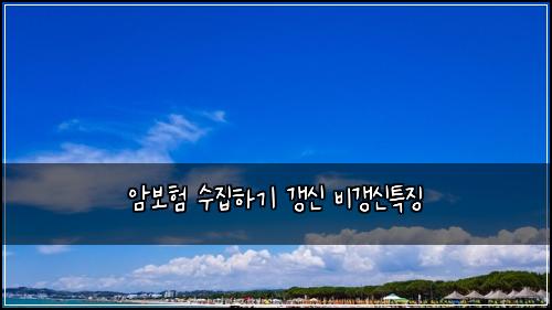 암보험 수집하기  갱신 비갱신특징