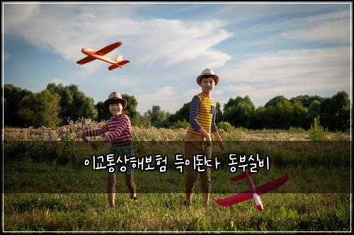 이교통상해보험 득이된다  동부실비