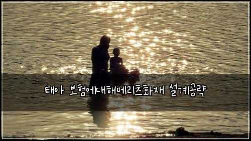 ํ์ ๋ณดํ์๋ํด๋ฉ๋ฆฌ์ธ ํ์ฌ ์ค๊ณ๊ณต๋ต