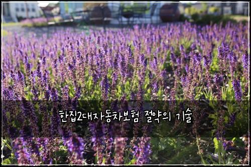한집2대자동차보험 절약의 기술