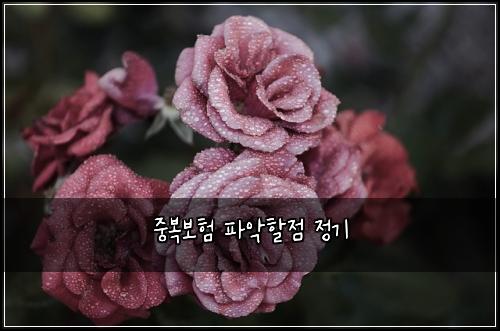 ์ค๋ณต๋ณดํ ํ์
ํ ์ ์ ๊ธฐ