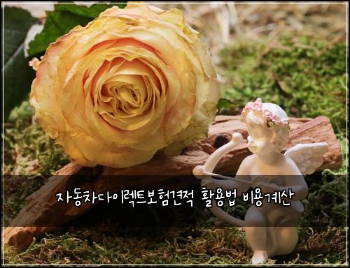 자동차다이렉트보험견적 활용법 비용계산
