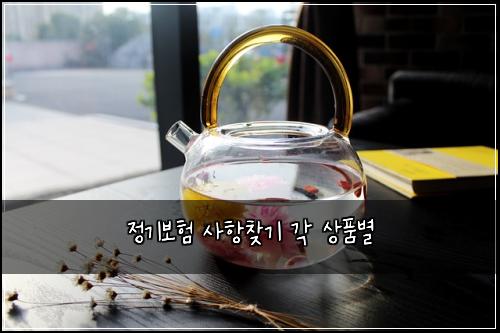 정기보험 사항찾기  각 상품별