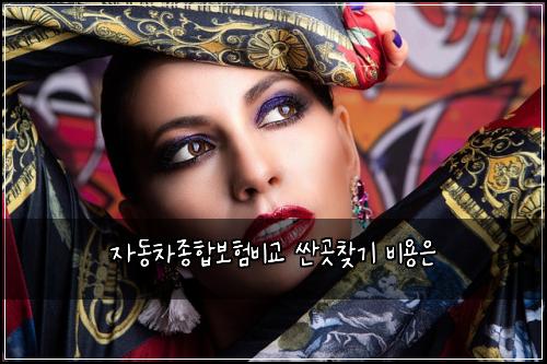 ์๋์ฐจ์ข
ํฉ๋ณดํ๋น๊ต ์ผ๊ณณ์ฐพ๊ธฐ ๋น์ฉ์