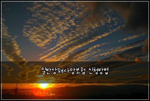 ์ผ๋ฐ์ํด์ฌ๋ง๋ณดํ ์ ์ฒญ๋ฐฉ๋ฒ