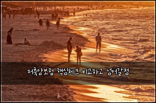 저축암보험 핵심체크  비교하고 넘어갈점