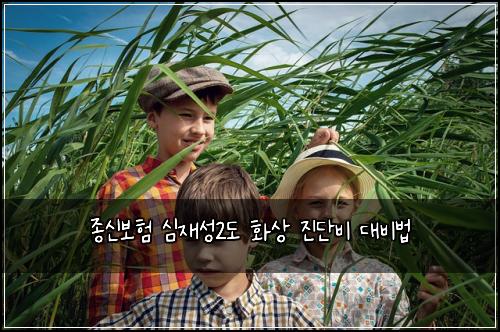 종신보험 심재성2도 화상 진단비 대비법