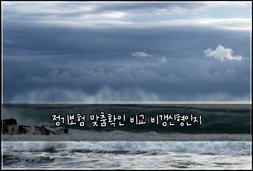 정기보험 맞춤확인  비교 비갱신형인지