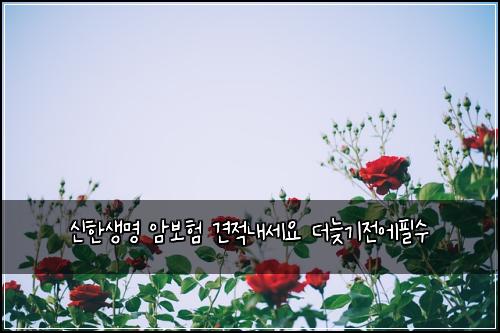 ์ ํ์๋ช
์๋ณดํ ๊ฒฌ์ ๋ด์ธ์ ๋๋ฆ๊ธฐ์ ์ํ์