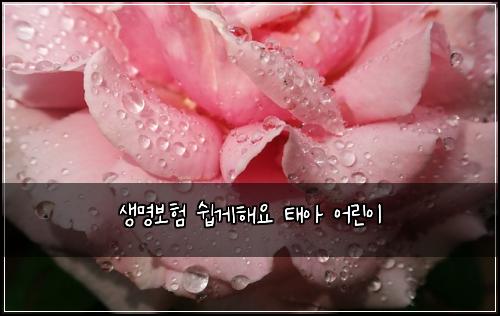 생명보험 쉽게해요  태아 어린이