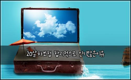 20살차보험 합리적으로  인기많은이유