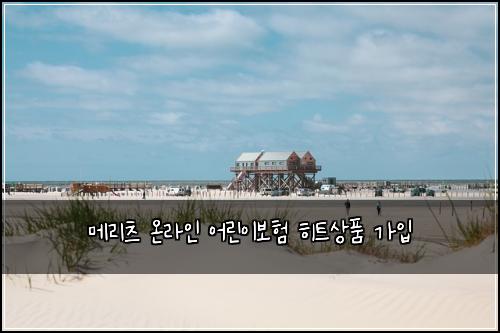 메리츠 온라인 어린이보험 히트상품  가입