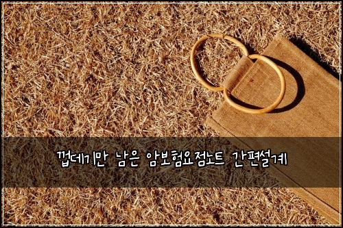 껍데기만 남은 암보험요점노트 간편설계