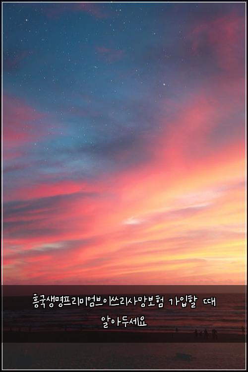 흥국생명프리미엄브이쓰리사망보험 가입할 때 알아두세요