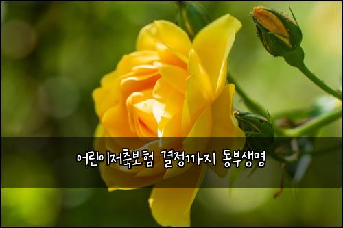์ด๋ฆฐ์ด์ ์ถ๋ณดํ ๊ฒฐ์ ๊น์ง ๋๋ถ์๋ช