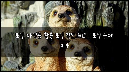 토익 자격증 활용 토익 직전 체크 : 토익 문제 #114