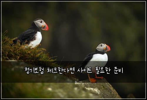 정기보험 체크한다면  사이트 필요한 준비