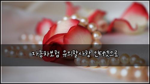 자동차보험 유의할사항  인터넷으로