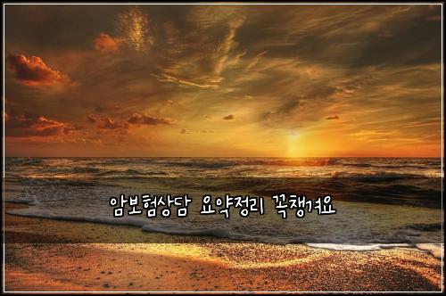 암보험상담 요약정리 꼭챙겨요
