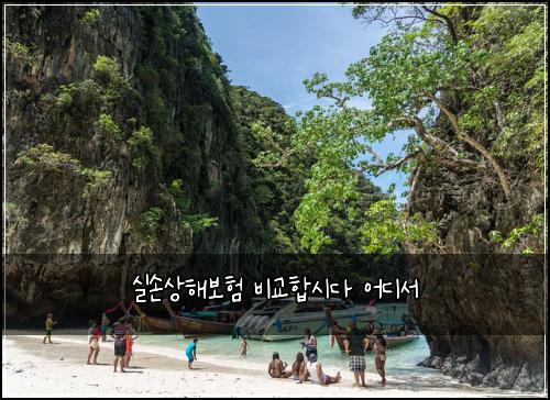 실손상해보험 비교합시다  어디서
