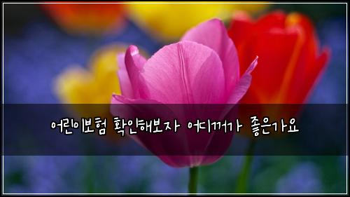 ์ด๋ฆฐ์ด๋ณดํ ํ์ธํด๋ณด์ ์ด๋๊บผ๊ฐ ์ข์๊ฐ์