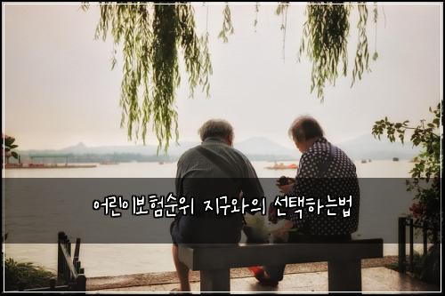 어린이보험순위 지구와의 선택하는법