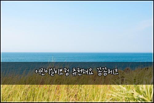 ์ด๋ฆฐ์ด์ค๋น๋ณดํ ์ธ์ฒํด์ ๊ผผ๊ผผ์ฒดํฌ