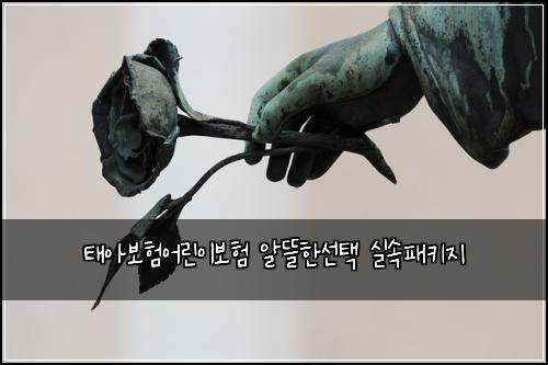ํ์๋ณดํ์ด๋ฆฐ์ด๋ณดํ ์๋ฐํ์ ํ ์ค์ํจํค์ง