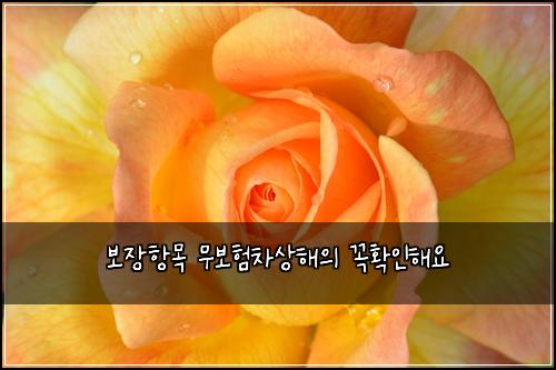 보장항목 무보험차상해의 꼭확인해요