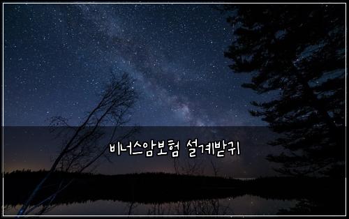 비너스암보험 설계받귀 