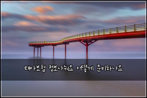 태아보험 정보나눠요  어떻게 준비하나요