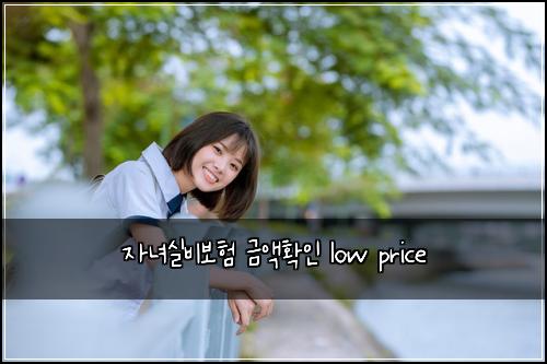 자녀실비보험 금액확인  low price