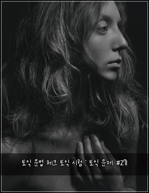 토익 문법 체크 토익 시험 : 토익 문제 #271