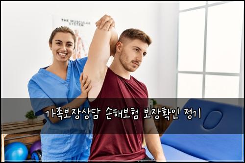 가족보장상담 손해보험 보장확인  정기