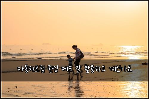 자동차보험 환입 제도 잘 활용하고 계신가요