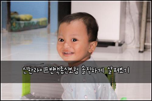 신한라이프변액종신보험 솔직하게 살펴보기