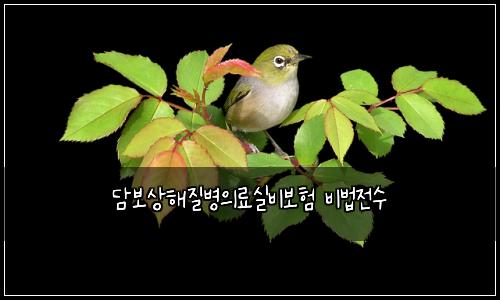 담보상해질병의료실비보험 비법전수 