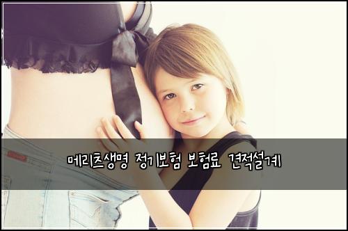 메리츠생명 정기보험 보험료 견적설계
