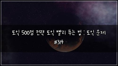 토익 500점 전략 토익 빨리 푸는 법 : 토익 문제 #314