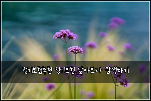 정기보험추천 정기보험 알아보자 탐색하기
