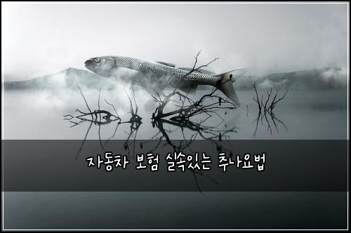 자동차 보험 실속있는  추나요법