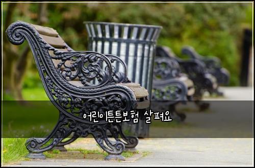 ์ด๋ฆฐ์ดํผํผ๋ณดํ ์ดํด์